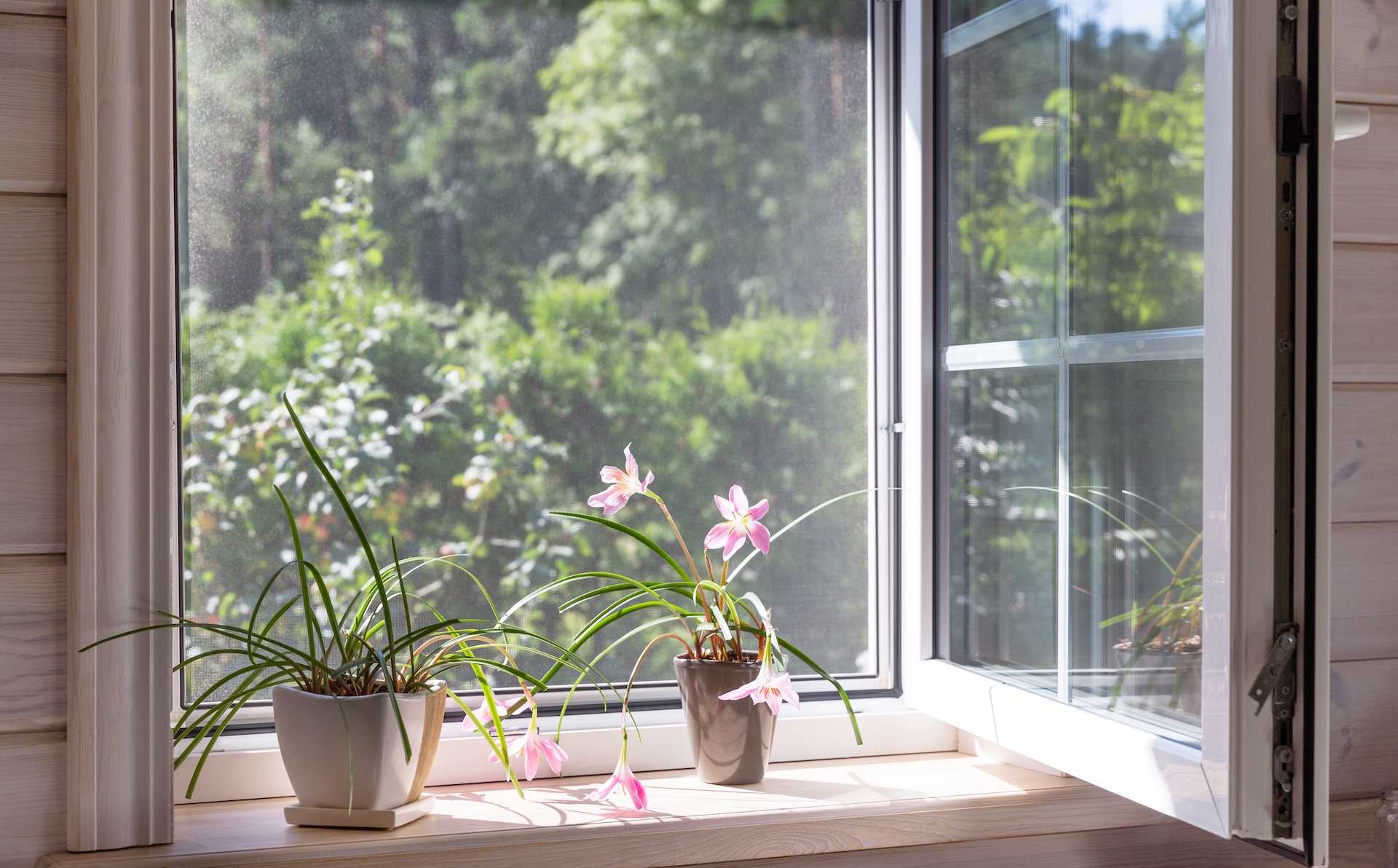 Moderne Fensterlösungen für Neubau, Sanierung und Instandhaltung